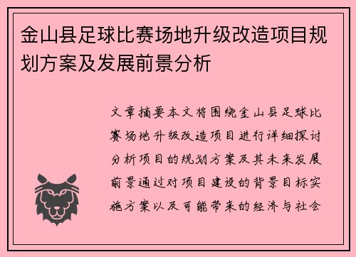 金山县足球比赛场地升级改造项目规划方案及发展前景分析