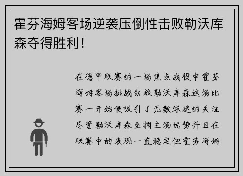 霍芬海姆客场逆袭压倒性击败勒沃库森夺得胜利！
