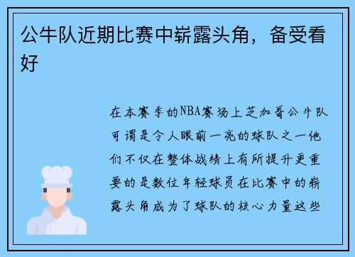 公牛队近期比赛中崭露头角，备受看好