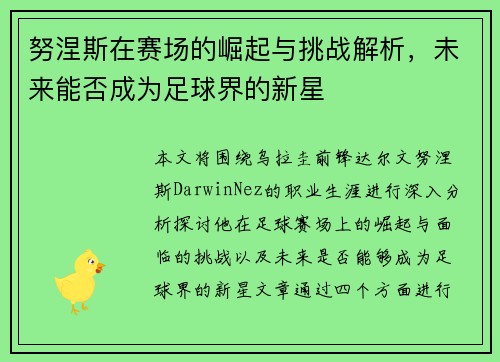 努涅斯在赛场的崛起与挑战解析，未来能否成为足球界的新星