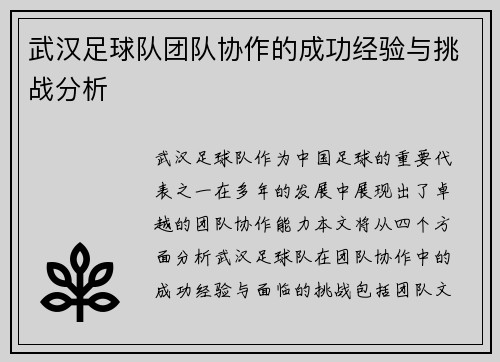 武汉足球队团队协作的成功经验与挑战分析